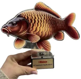 karp-statuetki-wedkarskie-komplet-3-sztuki-z-opisami-trofeum-25-21-18-cm