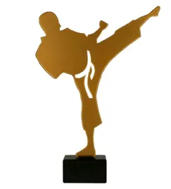 metalowa-statuetka-sztuki-walki-karate-ml-kar-21cm-z-tabliczka