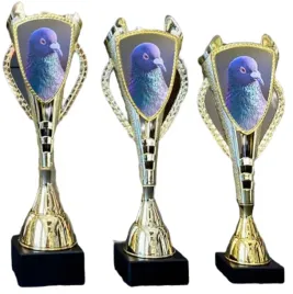 zestaw-pucharow-golebiowych-mistrz-golab-loty-przodownik-44-41-40-cm-opis