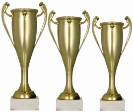 puchary-zestaw-3-sztuk-komplet-pucharow-352924-cm-opis-nowosc-2024