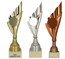 komplet-pucharow-3-kolory-zestaw-pucharow-dowolna-dyscyplina-opis-29-cm