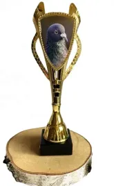 puchar-golab-dowolny-napis-34-cm-najlepszy-lotnik