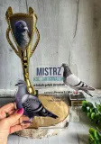 puchar-golab-dowolny-napis-34-cm-najlepszy-lotnik-stan-nowy