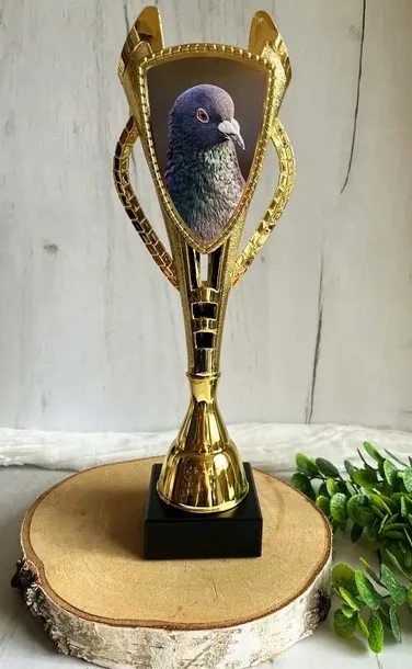 puchar-golab-dowolny-napis-34-cm-najlepszy-lotnik-dyscyplina-sportowa-inna