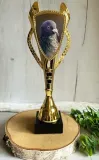 puchar-golab-dowolny-napis-34-cm-najlepszy-lotnik-dyscyplina-sportowa-inna
