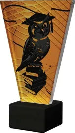 szklana-statuetka-sowa-szkolnictwo-najlepszy-uczen-szkola-20cm-opis-gratis