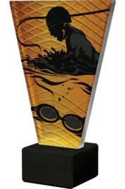 trofeum-szklane-plywanie-vl1-d-swi-bk-15cm-z-grawerem