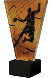 trofeum-szklane-pilka-reczna-vl1-a-han-bk-225-cm-z-grawerka