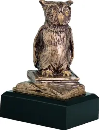 statuetka-sowa-wyroznienie-135-cm-opis-gratis