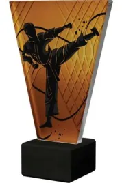 trofeum-szklane-karate-vl1-a-kar-bk-225cm-z-tabliczka