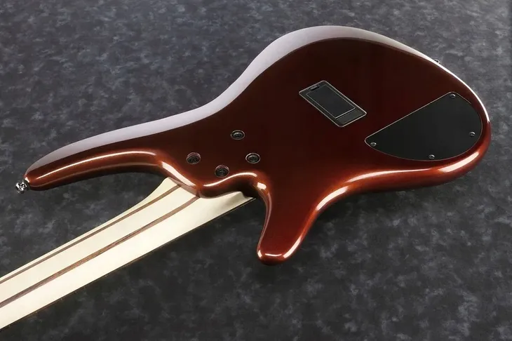 ibanez-sr305e-rbm-gitara-basowa-aktywna-5-strunowa-kod-producenta-sr305e-rbm