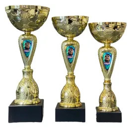 komplet-3-pucharow-wiedza-sowa-nauka-zestaw-i-iii-miejsce-34-32-29-opis