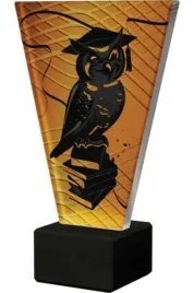 trofeum-szklane-szkolnictwo-vl1-d-sch-bk-15cm-z-tabliczka