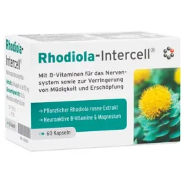 rhodiola-intercell-mitopharma-rozeniec-gorski-na-stres-i-zmeczenie