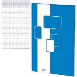 blok-biurowy-w-kratke-a4-100-kartek-60g-budget-bantex