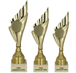 zestaw-trzech-pucharow-z-opisem-i-dowolnym-emblematem-31-29-28-cm