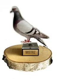 statuetka-golab-akryl-z-nadrukiem-grawer-mistrz