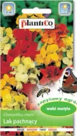 lak-pospolity-1g-nasiona-kwiatow