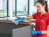 vileda-scierka-microtuff-easy-niebieska-162710-vileda-professional-liczba-sztuk-w-opakowaniu-1-szt