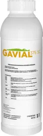 gavial-375-sc-1l-na-lamliwosc-zgorzel-zdzbla-maczniaka-septorioze-fuzarioze