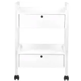 stolik-kosmetyczny-typ-1019-giovanni-typ-wyrobu-medycznego-wyposazenie-wyrobu-medycznego-lub-produkt-niemajacy-przewidzianego-zastosowania-medycznego