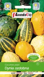 dynia-ozdobna-mieszanka-2g-plantico-nasiona