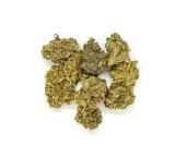 cbd-kwiaty-konopi-bubbels-5-g-stan-nowy