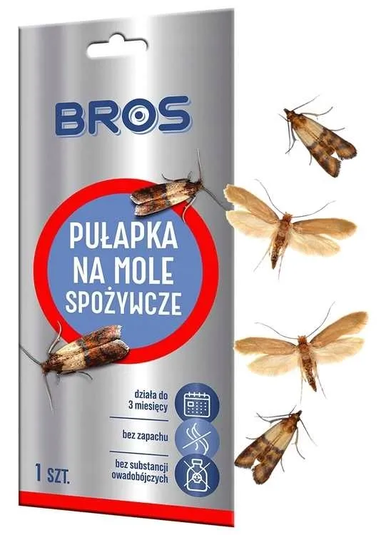 bros-na-mole-spozywcze-10-szt