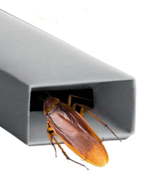 bros-prusakolep-2szt-forma-inna