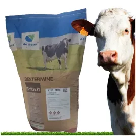 bestermine-energy-krowy-mleczne-tluszcz-de-heus-20-mieszanka-paszowa