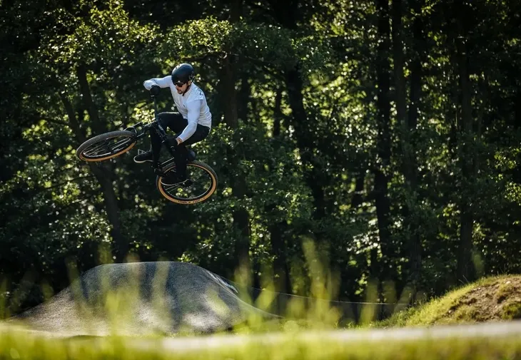 rower-mtb-dirt-kellys-whip-30-rozmiar-l-rozmiar-ramy-13-cali