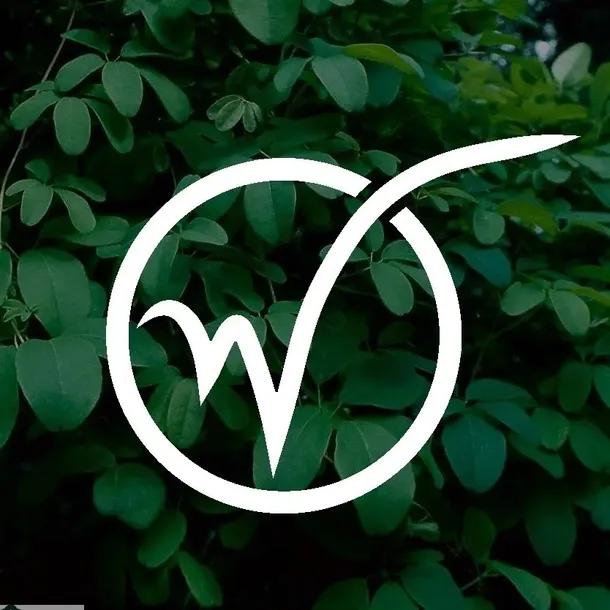 winorosl-cascade-2l-styl-ogrod-srodziemnomorski-ogrod-wiejski-ogrod-skalny-ogrod-nowoczesny-ogrod-japonski-rodzaj-rosliny-winorosl