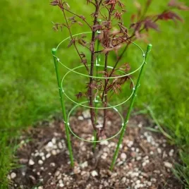 podpora-do-kwiatow-roslin-pierscieniowa-pergola-ogrodowa-do-roslin-40-cm