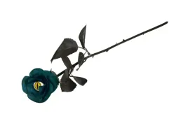 roza-z-kocim-okiem-czarno-niebieska-kwiat-oko-dekoracja-halloween