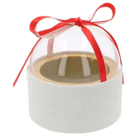 bialy-welurowy-flower-box-pudelko-na-kwiaty-z-przezroczysta-pokrywka-kula