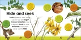 bugs-wydawnictwo-dorling-kindersley