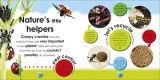 bugs-wysokosc-produktu-22-cm