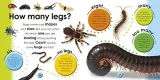 bugs-numer-wydania-1