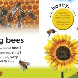 bugs-isbn-9781405368131