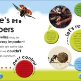 bugs-nosnik-ksiazka-papierowa
