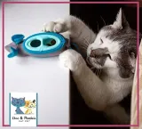 doc-and-phoebe-doc-and-phoebe-interaktywny-kar-rodzaj-inne