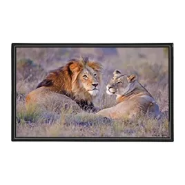 viquel-dekoracyjna-podkladka-pod-biurko-lew-oc