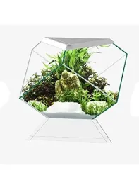 askoll-280669-nexus-5c-betta-life-white-gw