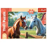 puzzle-200-konie-na-polanie-stan-opakowania-oryginalne