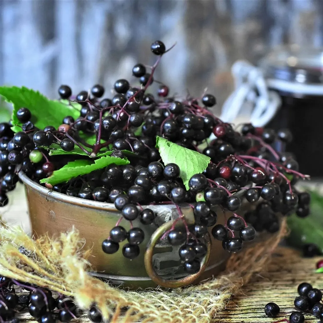 bez-czarny-black-lace-2l