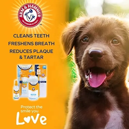 arm-and-hammer-fresh-coconut-mint-toothpaste-pup