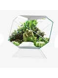 askoll-280669-nexus-5c-betta-life-white