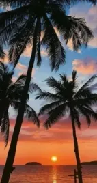 recznik-plazowy-kapielowy-koc-xxl-100x180-summer-szybkoschnacy-palmy-h132