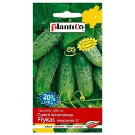 ogorek-frykas-konserwowy-nasiona-ogorkow-ogorki-konserwowe-wczesne