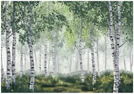 fototapeta-3d-las-brzozowy-drzewa-natura-na-sciane-sypialnia-salon-400x280